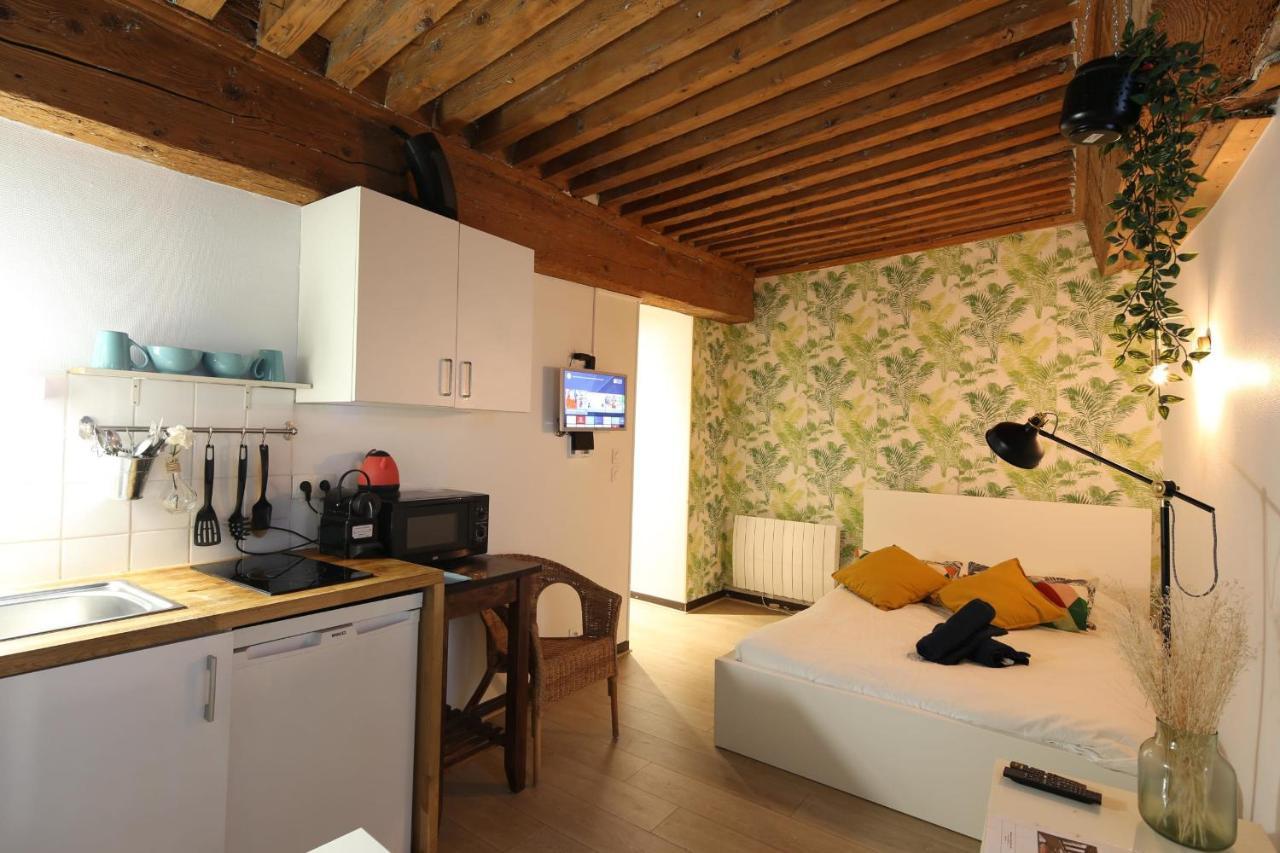 Charming Studio Centre Ville De ליון מראה חיצוני תמונה